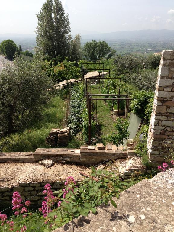 Residenza D'Epoca San Crispino Aparthotel Assisi Exterior photo